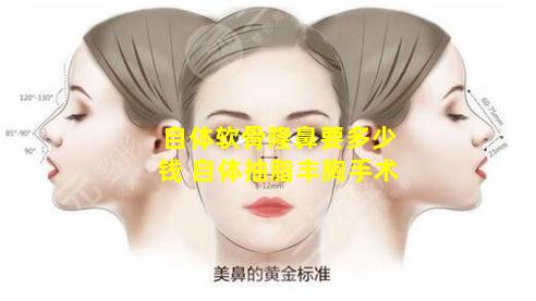 自体软骨隆鼻要多少钱 自体抽脂丰胸手术